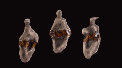 بررسی نمایشگاه «امید آمدن لغتی» شادی مرادی: از خاک تا امید