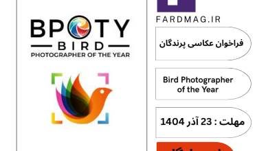 فراخوان عکاسی Bird Photographer of the Year 2026