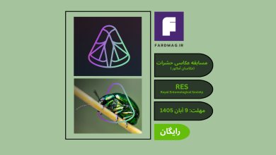 مسابقه عکاسی انجمن سلطنتی حشره‌شناسی RES 2026