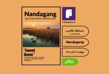 فراخوان مسابقه عکاسی 2026 Nandagang International Wetland Photo Contest